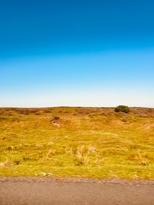 Vyletamezhnizda eskvalley