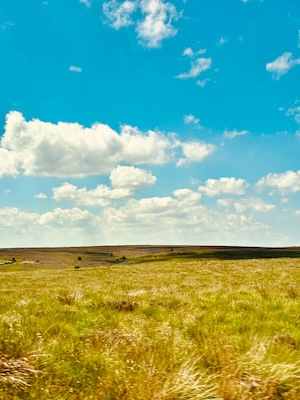 Vyletamezhnizda eskvalley