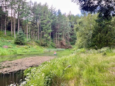Vyletamezhnizda eskvalley