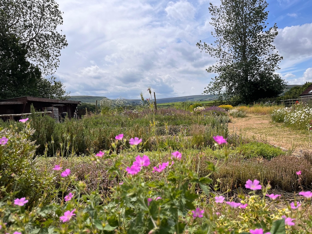 Vyletamezhnizda eskvalley