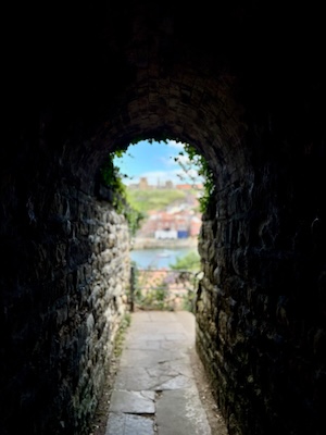 Vyletamezhnizda eskvalley